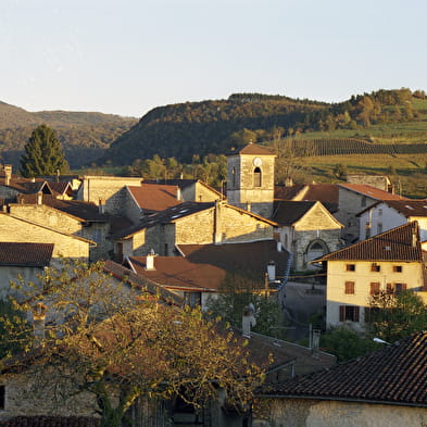 Mérignat, village viticole