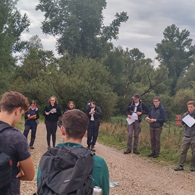 Die belebte Girard-Insel!