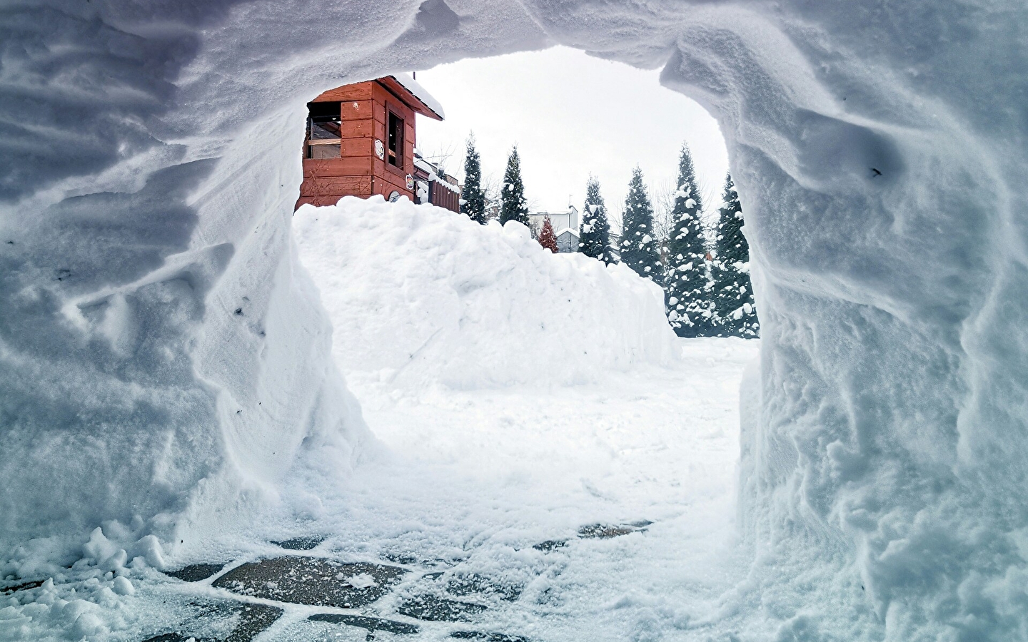 Skischule Haut-Jura - Lajoux : Iglu- / Chamallow-Wanderung