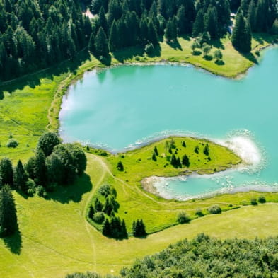 Lac Genin et ses tourbières