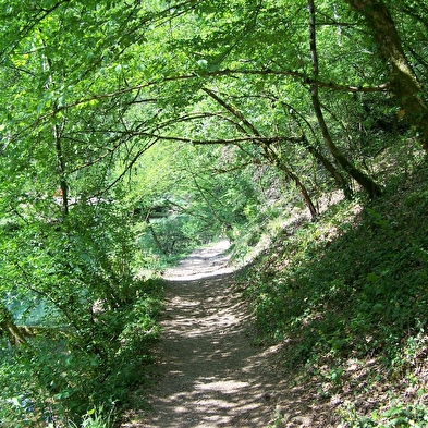 Wanderweg - le val de cusance
