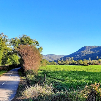 Voie Verte de la Vallière (Grüner Weg) - LONS-LE-SAUNIER