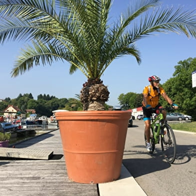 Die große Fahrradtour durch den Doubs 