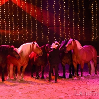 La Ferme des Comtois - MAICHE