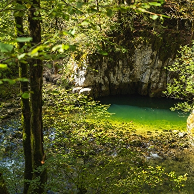Rundgang Entdeckung der Bielersee
