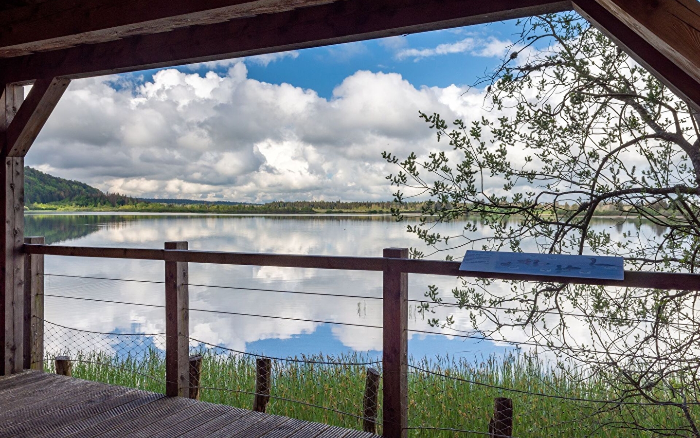Le sentier des rives du lac