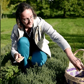 Sensations Simples - BARRETAINE