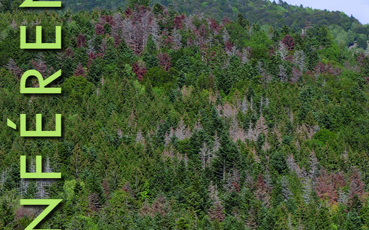 Konferenz - Die Wälder des Jura und das Klima