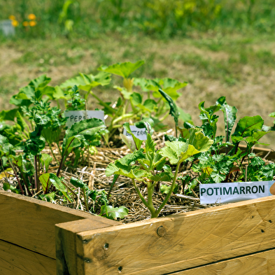 Arboretum Pierre et Serge Antier
