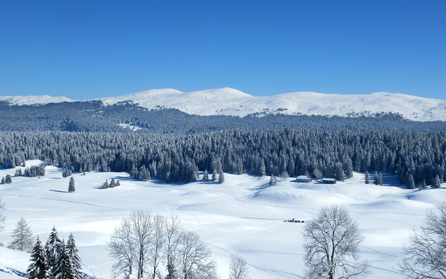 Die Entdeckung der Hautes-Combes du Jura mit Schneeschuhen