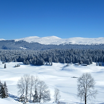 Die Entdeckung der Hautes-Combes du Jura mit Schneeschuhen - SEPTMONCEL LES MOLUNES