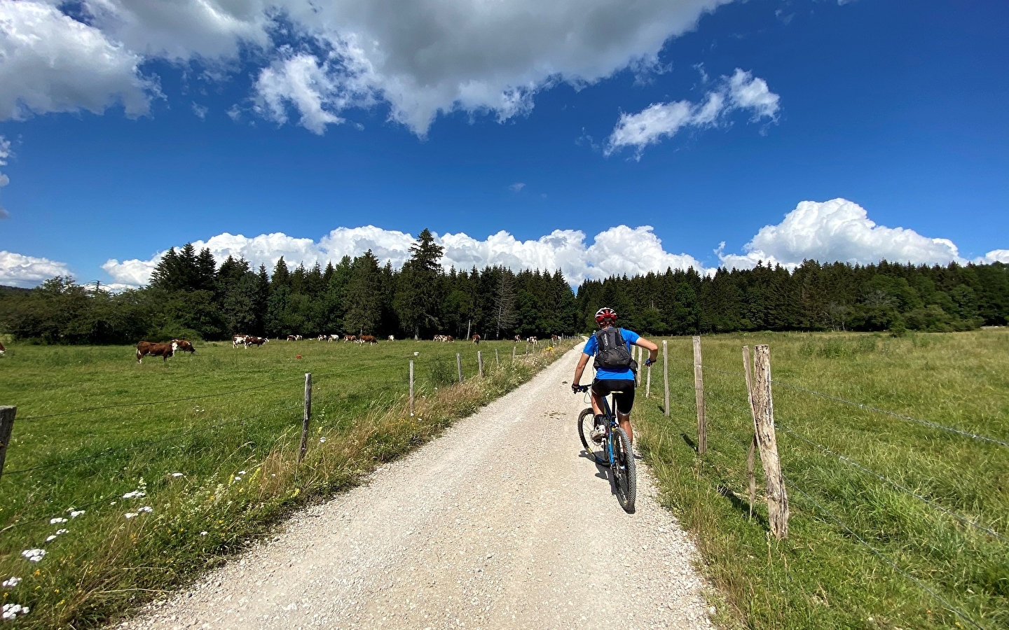 Begleitete Mountainbike-Tour