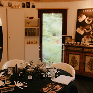 Die fünf Sinne im Garten: Sehen