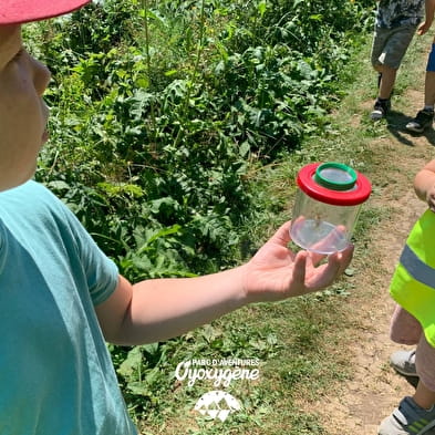 Sorties scolaires au Parc Oyoxygène