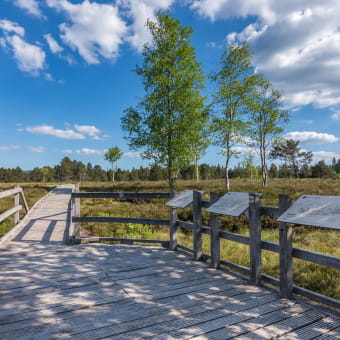 Réserve Naturelle Régionale Tourbières de Frasne Bouverans - FRASNE