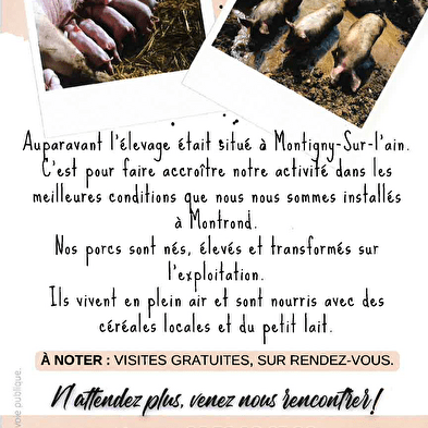 Aux Bons Cochons