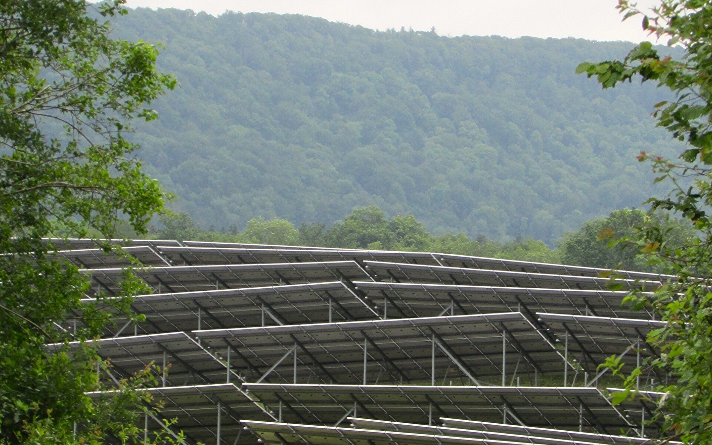 Lehrpfad auf der Solarfarm