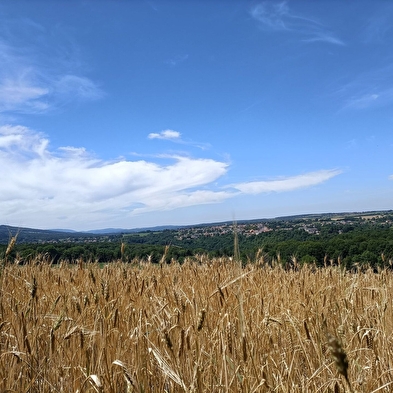 Tante-Arie-Rundgang