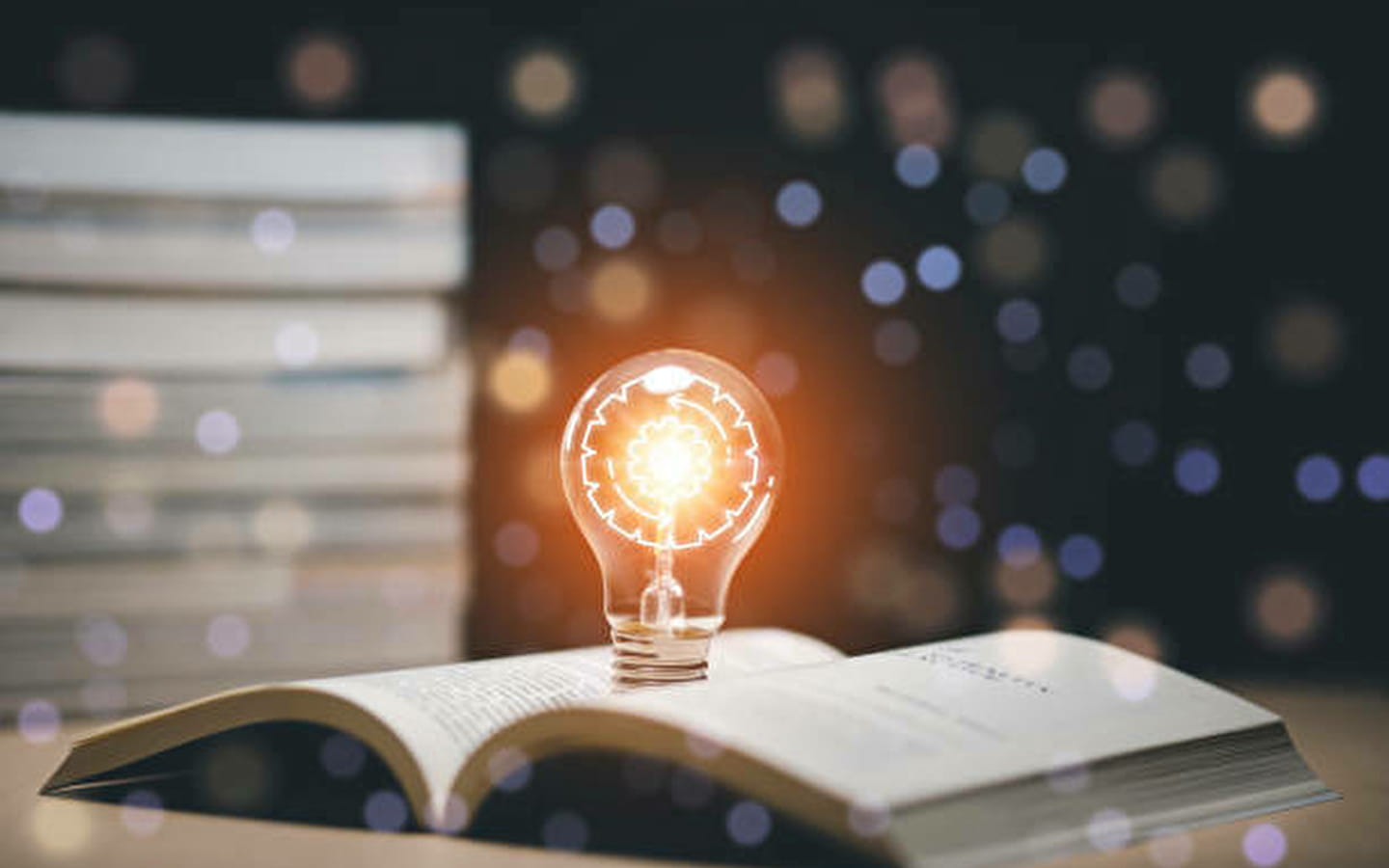 Konferenz Workshop 'Konfliktprävention'