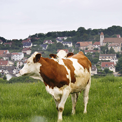 Große Schleife von Fontain 