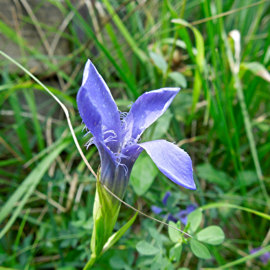 Pfad zum Jardin des Marnes