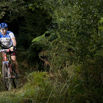 Circuit VTT n°5 (rouge) - De la Bresse des lacs à l'étang Pontremble