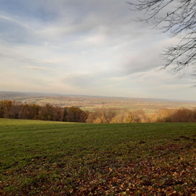Pfad les Hauts de Divicius