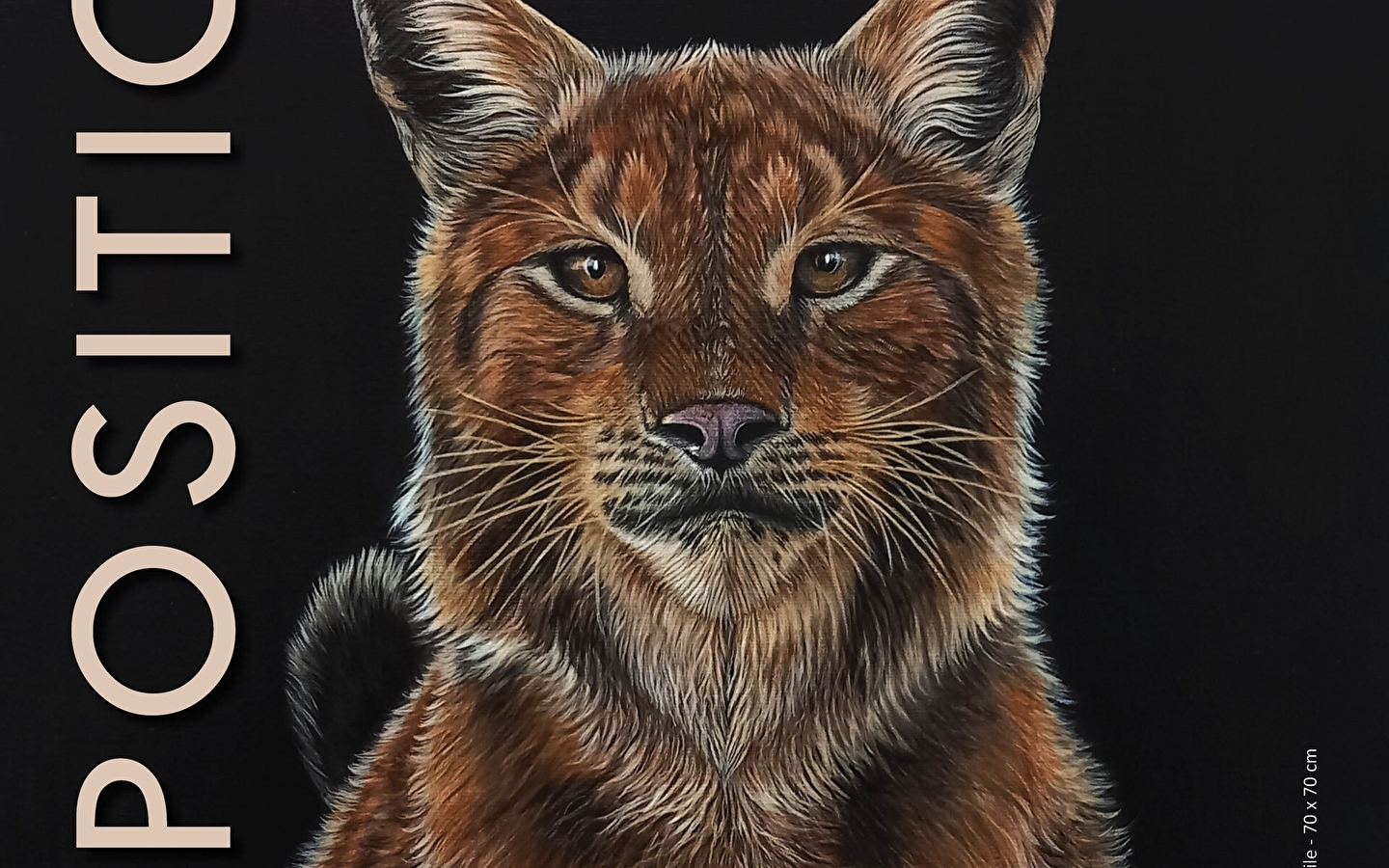 Ausstellung Die wilde Tierwelt