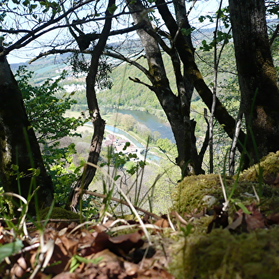 Wanderweg - der berg dommage