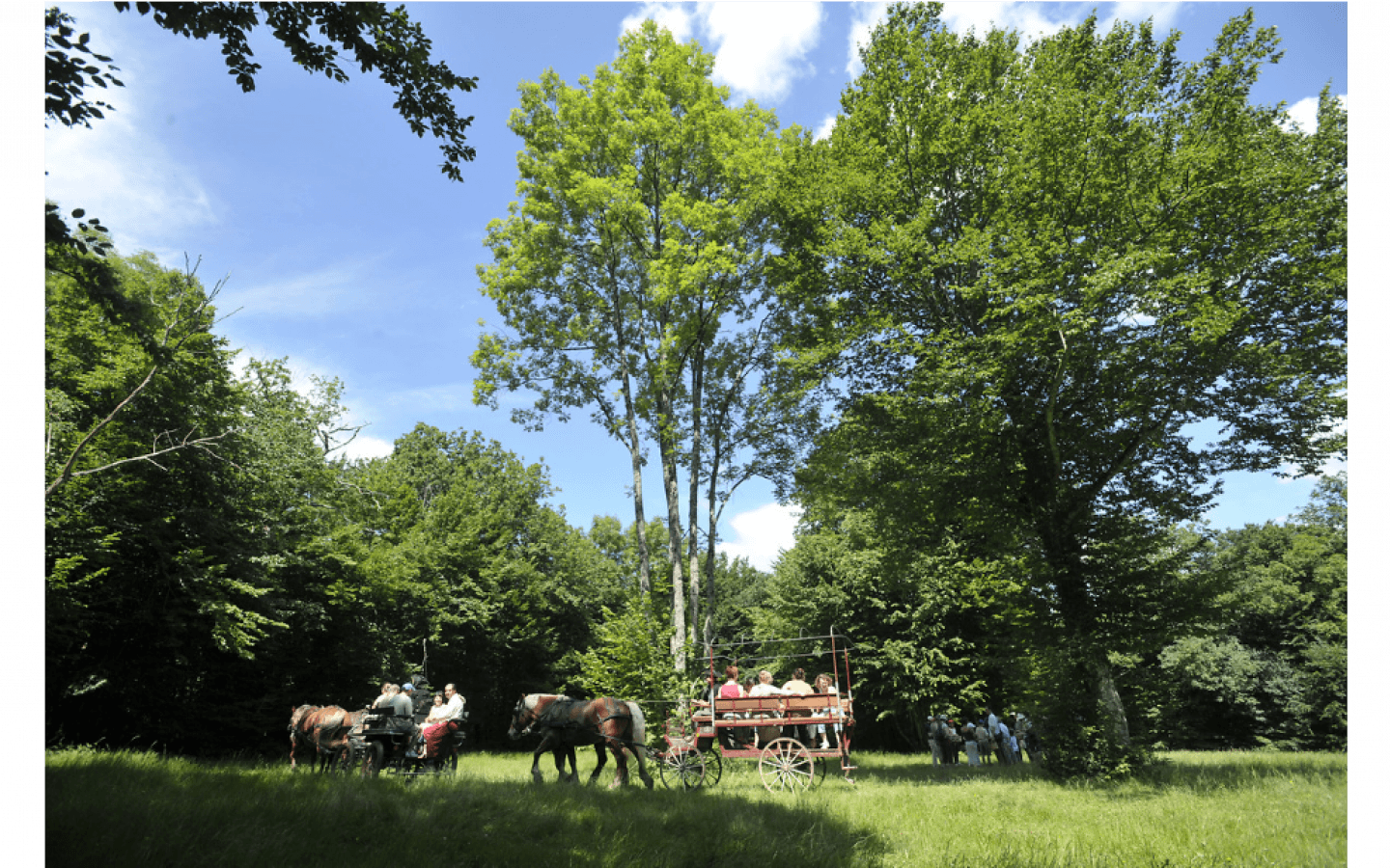 Der Akazienbrunnen