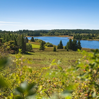 Tour der Seen - BELLEFONTAINE