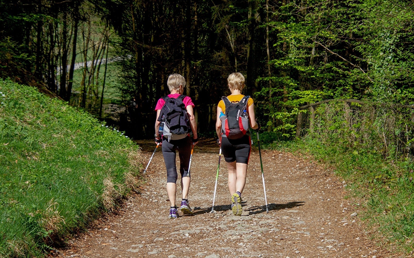 Nordic Walking - Montecheroux