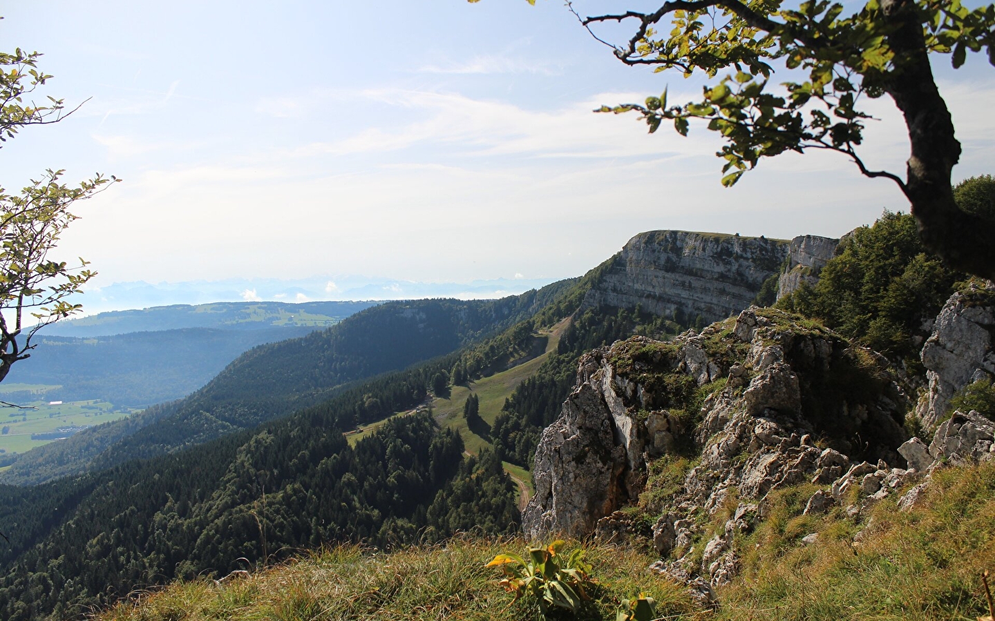 Der Mont d'Or - Schatzkammer der Biodiversität