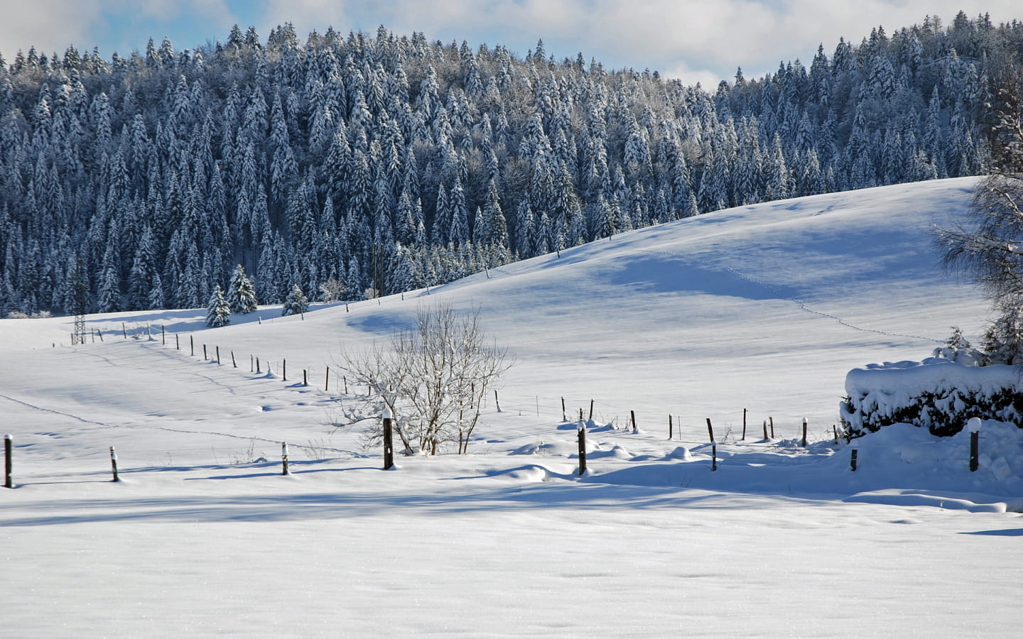 Multi-Aktivitäts-Piste in Nanchez