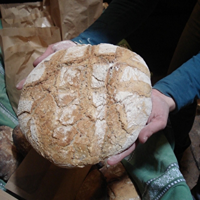 Brot-Workshop
