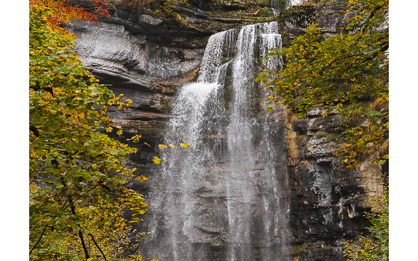 Sylvain Rouvier Photographie