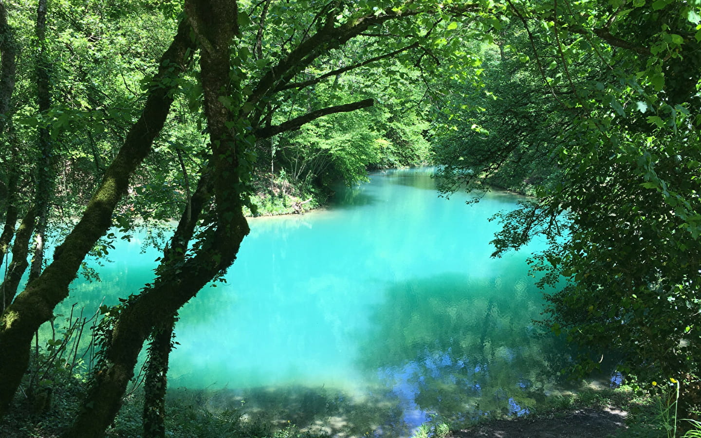 Randonnée à VTT : le lac Bleu