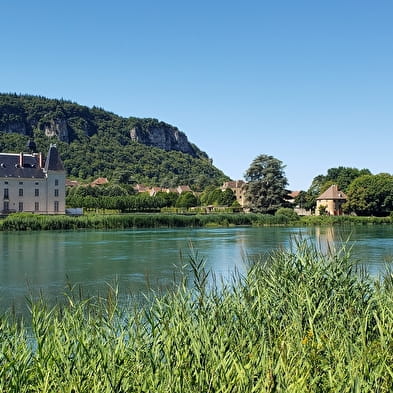 Point de vue : château de Vertrieu sur la Viarhôna