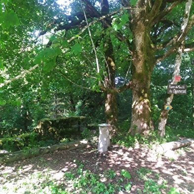 Von der bergseitigen Ecke zur talseitigen Ecke