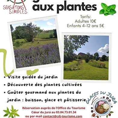 Gourmet-Tour zu den Pflanzen