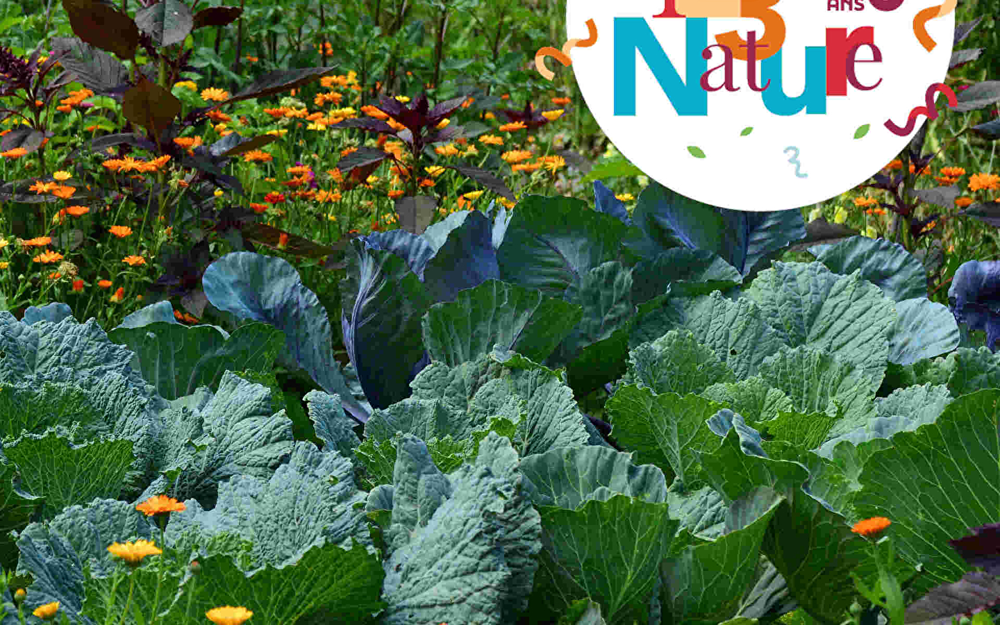 ATELIER FAMILLE 123 NATURE: BLUMEN VOM GARTEN BIS ZUM STRAUSS