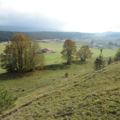 Trekking-Entdeckung der Hautes-Combes des Jura mit Lucas Humbert