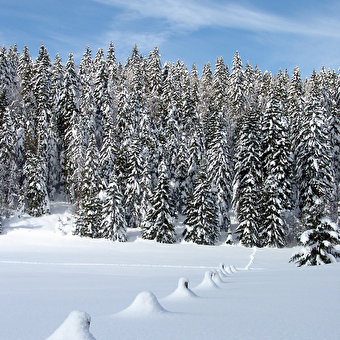 Site Nordique de Belleydoux - BELLEYDOUX