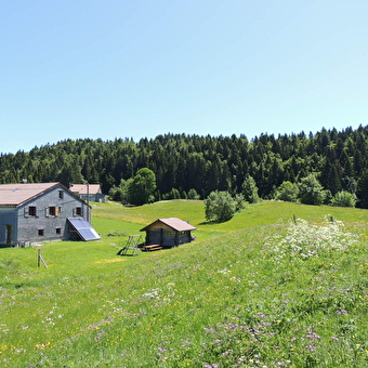 Le Cernétrou - LA PESSE