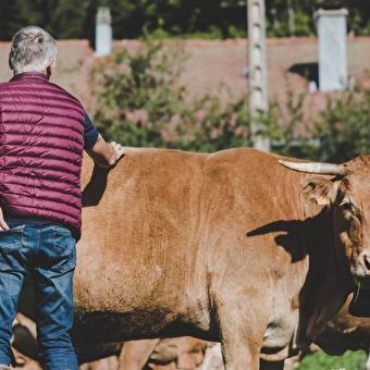 GAEC Piet / Thouverez - MORBIER