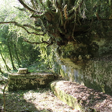 Source de Tapoira