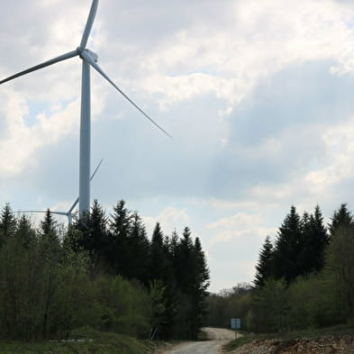 Pfad zur Erkundung der Windräder in Fontenelle-Montby