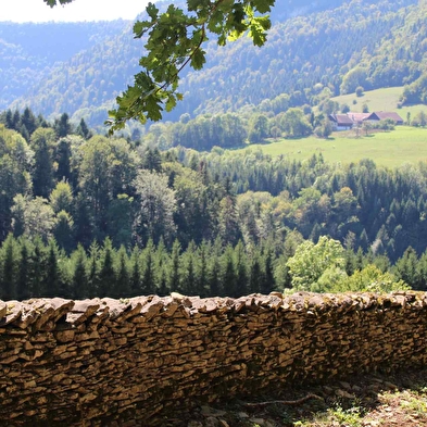 Mauer-Steinmauer(n)