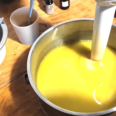 Workshop Selbstgemachte Seifen mit Wildpflanzen