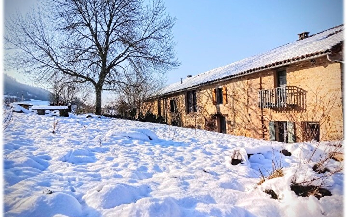 Gîte de l'Arbre-Lune